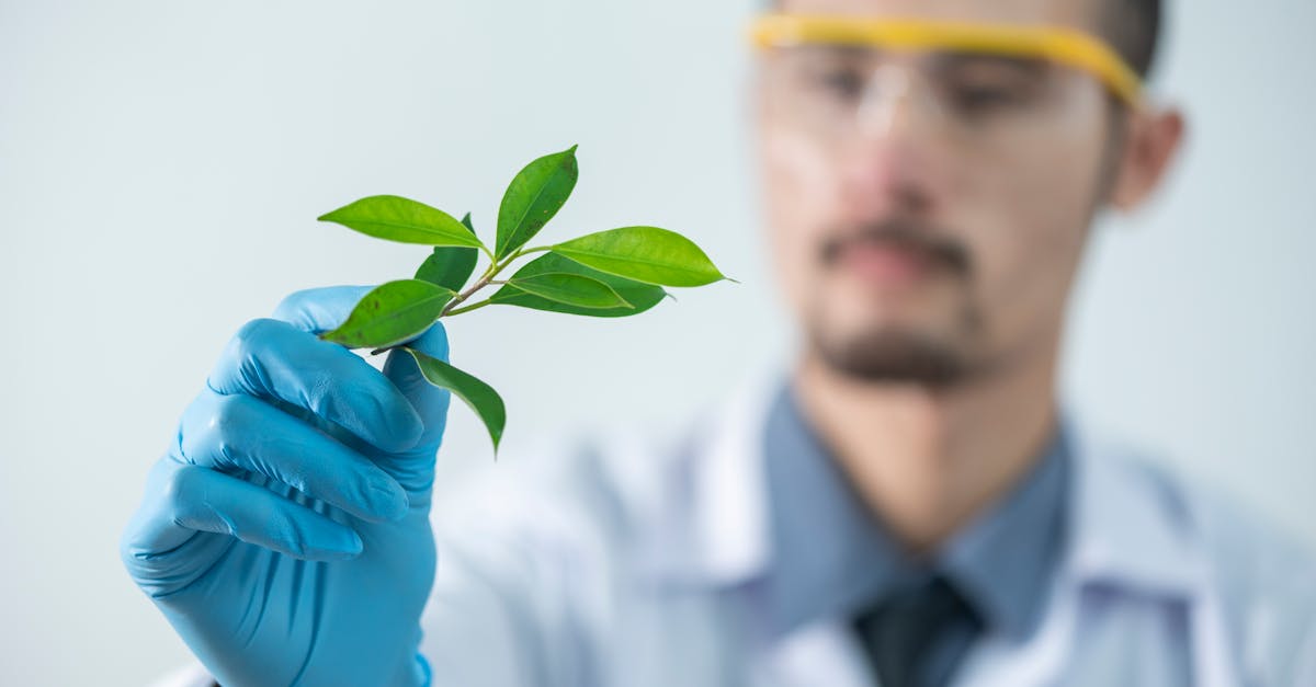 天火娱乐，注册|购买袜子平台推荐