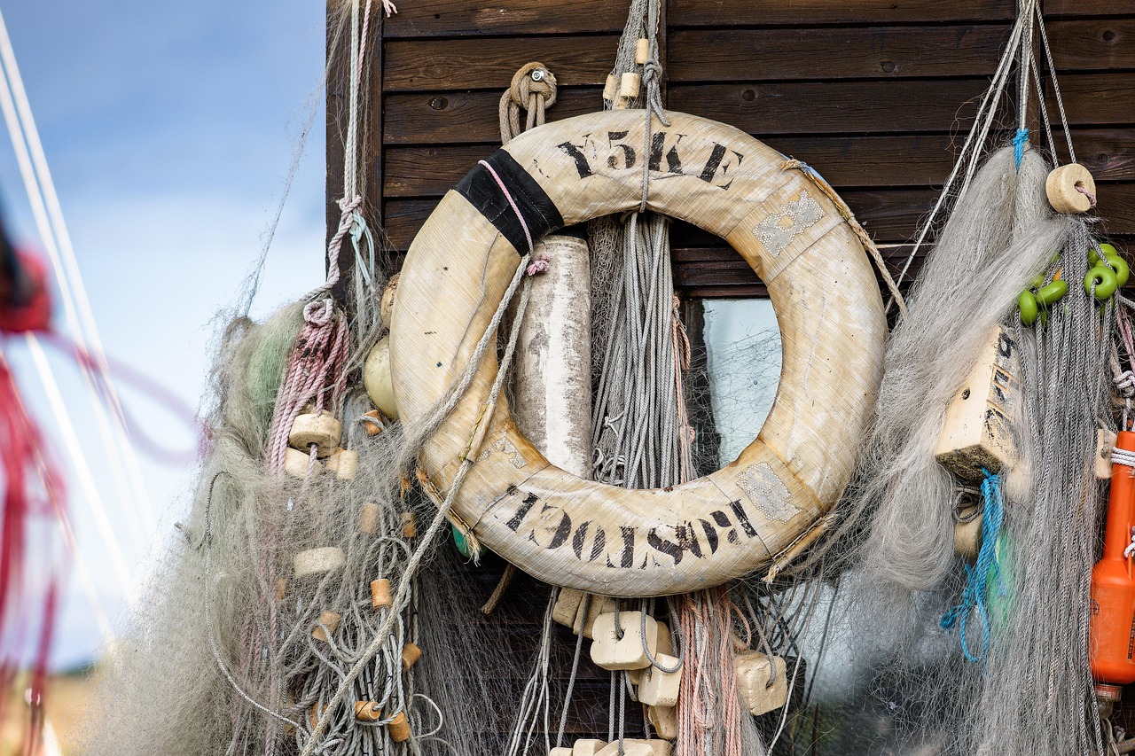 有嘴蓝骆驼：无法完成详情下载教程app